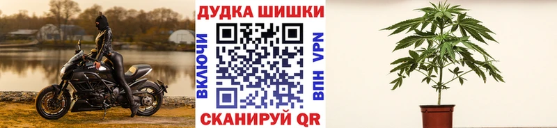 Каннабис White Widow  Купить закладки  Сурск 